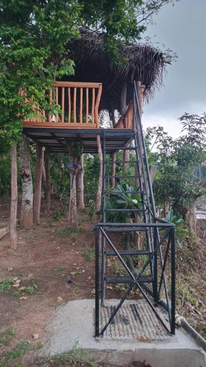 Mailagama Cinnamon Residence 카타라가마 외부 사진